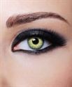 Изображение Lentilles de couleur vertes Passion