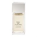 Immagine di Chloé Eau de Fleurs Lavande Eau de toilette de Chloé