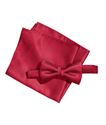 Immagine di H&M Ens. Nœud papillon+Pochette