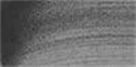 Immagine di 1 - Black Pearl