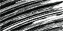 Immagine di N°11 Fly In Black